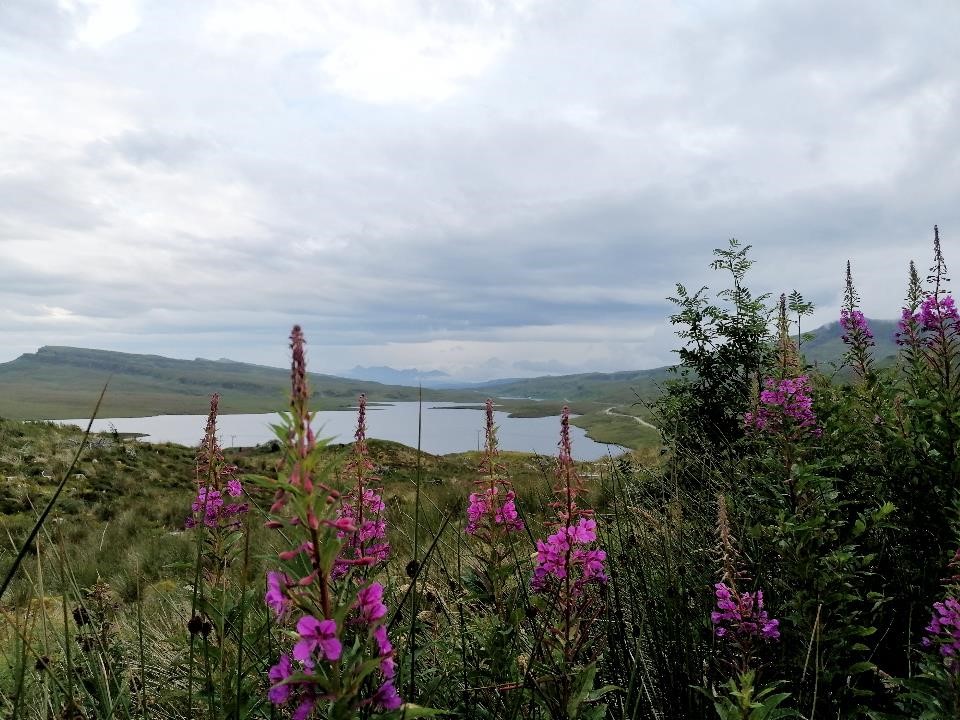 The Old man of Storr-1