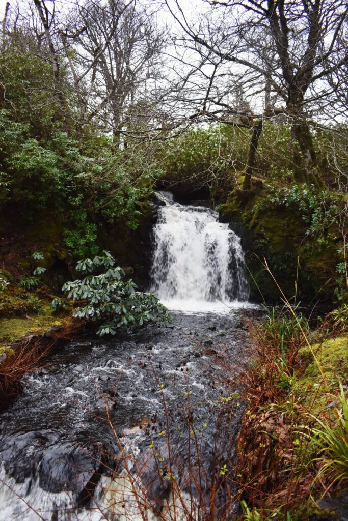 dunvegan castle and gardens