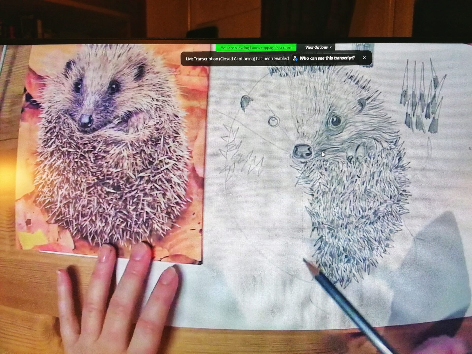 my teachers hedgehog