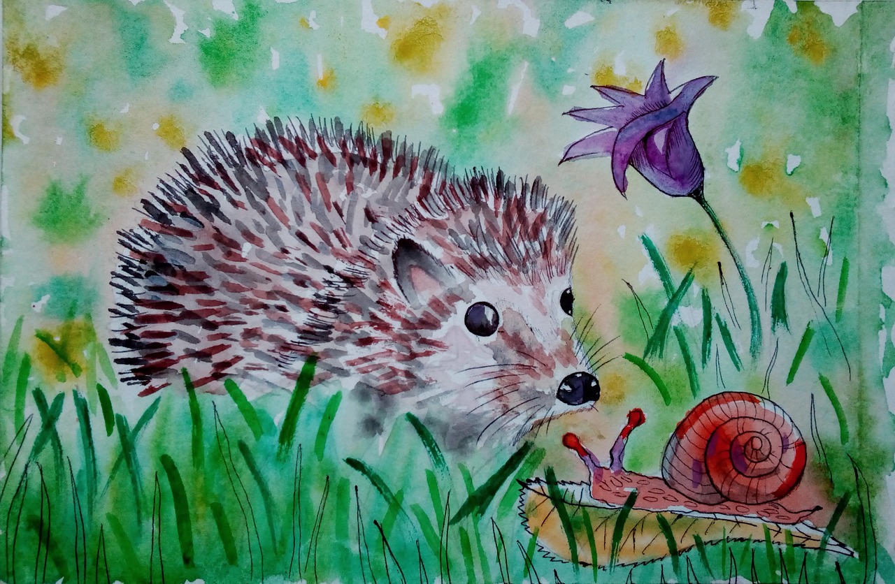 hedgehog cartoon