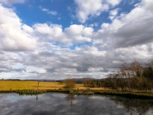 view from tebay services