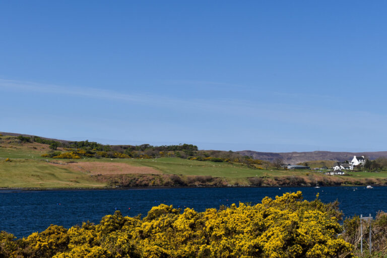 view in dunvegan